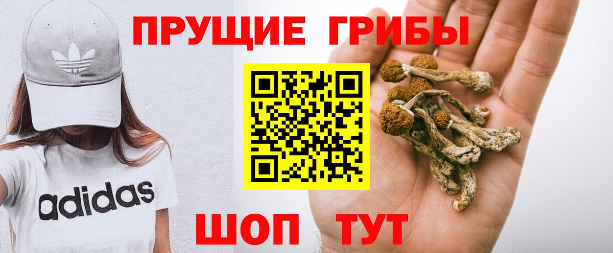 Вичуга  Псилоцибиновые грибы мицелий  Вход с VPN 